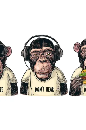 Don’t see hear or speak omerta monkeys 80x60