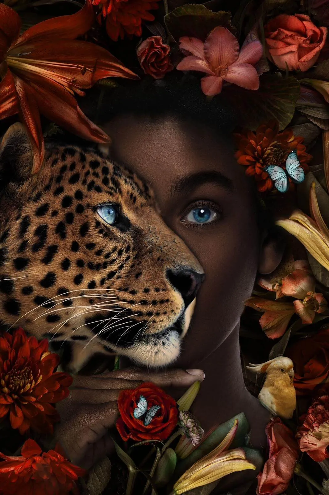 African Wild panther 80x60
