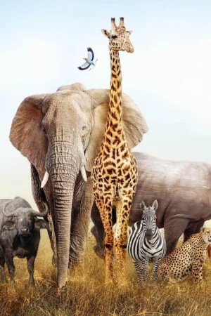 Wild safari animals 80x120