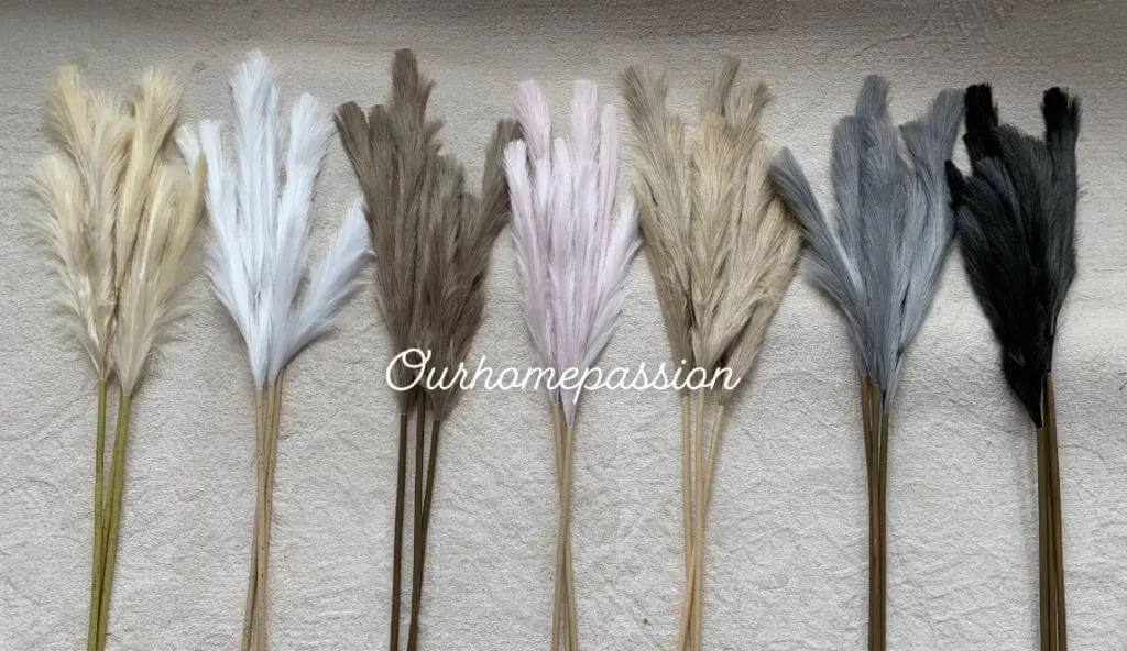 Pampas veren zwart/antraciet - Afbeelding 2