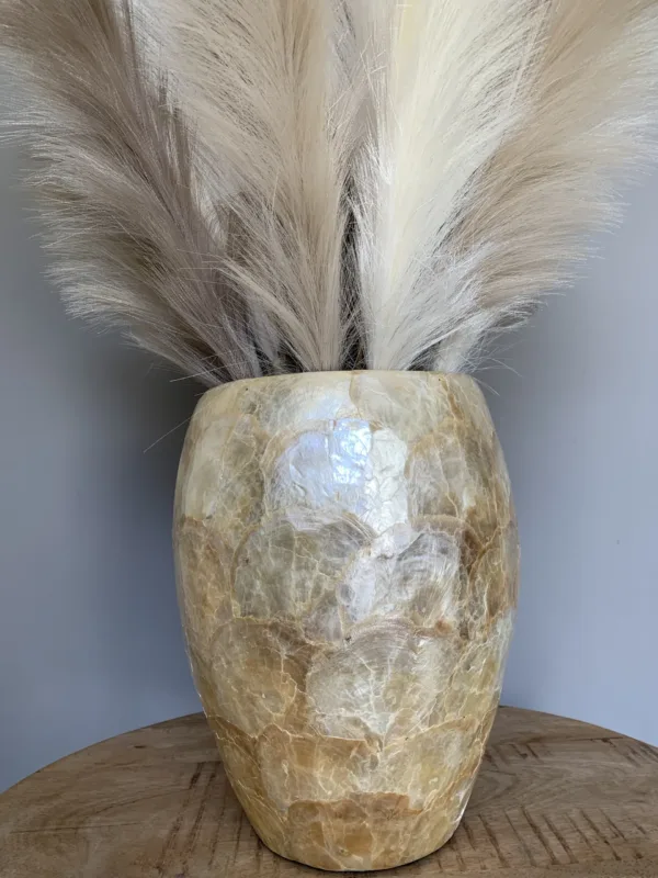 LUXE SCHELPENVAAS MOTHER OF PEARL MET GOUD/TAUPE  PAMPA’S VEREN - Afbeelding 2