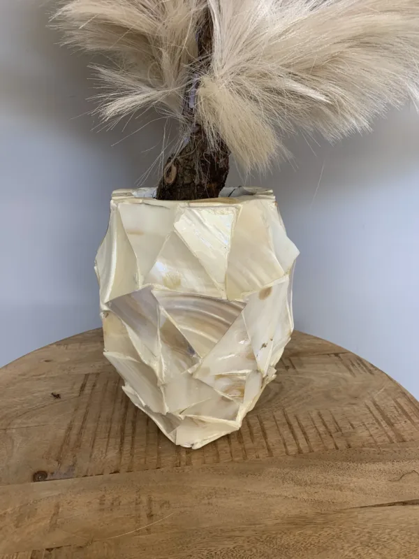 SCHELPENVAAS CREME POT MET PAMPA’S VEREN - Afbeelding 2