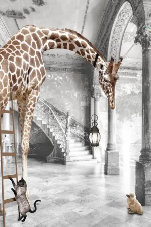 Giraffe Tiger & Climbing Cat 80x60