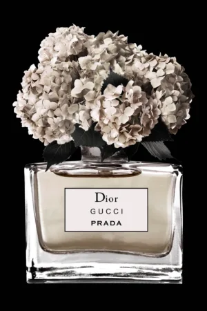 Dior Prada Gucci Black Flowers 80x60