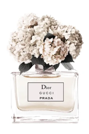 Dior Gucci Prada White Flowers 80x60