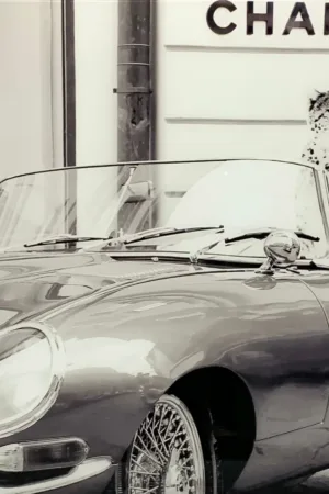 Cheetah cabrio Chanel 80x120